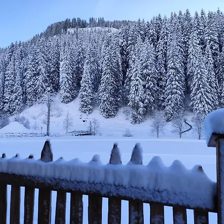 아파트 Lisi 턱스